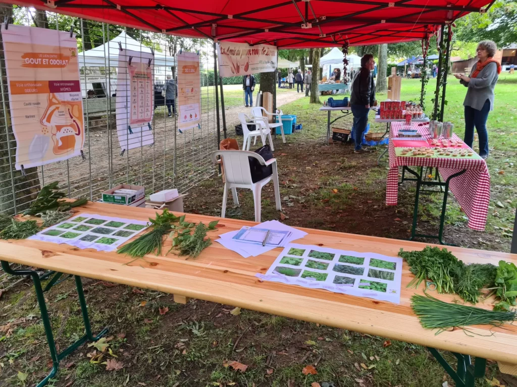 fête du terroir 2024 - eveilogout